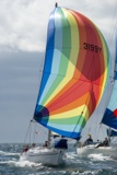 hot toddy 3199y saracen gbr626t whyw18 mon gjmc 7554w